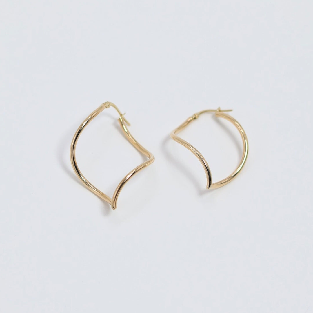 Paisley Earrings